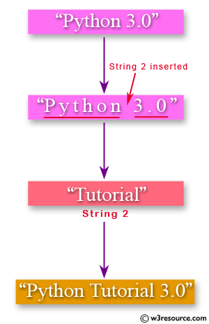 «Python